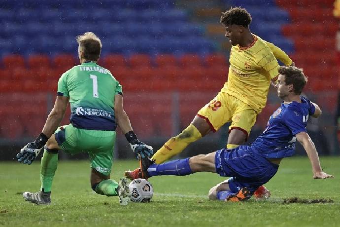 Nhận định, soi kèo Adelaide United vs Newcastle Jets, 15h15 ngày 13/3