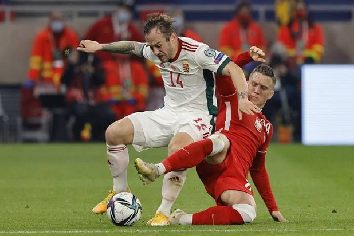 Nhận định, soi kèo Ba Lan vs Hungary, 2h45 ngày 16/11