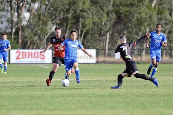Nhận định, soi kèo Avondale FC vs Dandenong Thunder, 16h30 ngày 17/6: Trả nợ ngọt ngào