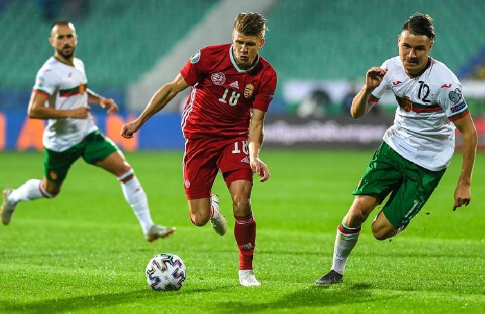 Nhận định, soi kèo Bulgaria vs Hungary, 0h00 ngày 17/11