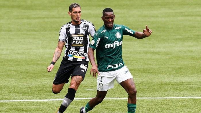 Nhận định, soi kèo Botafogo SP vs Palmeiras, 7h30 ngày 20/1