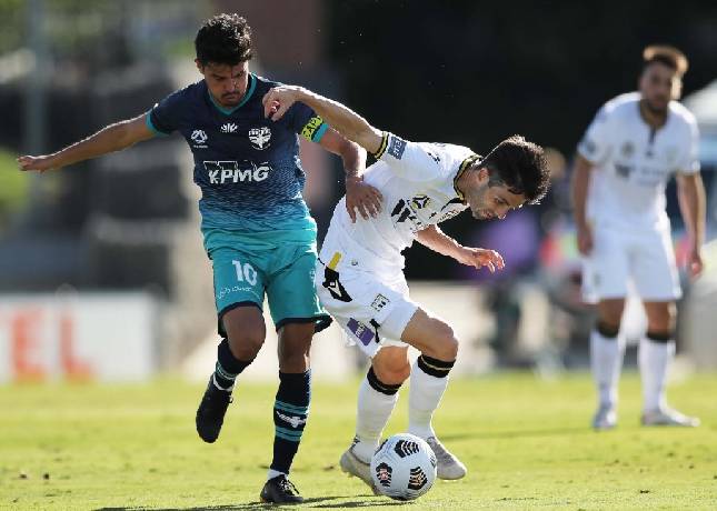 Soi k&egrave;o phạt g&oacute;c Macarthur FC vs Wellington Phoenix, 15h00 ng&agrave;y 20/1: Chủ nh&agrave; &aacute;p đảo