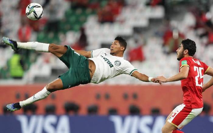 Chuyên gia Tony Ansell dự đoán Palmeiras vs Al Ahly, 23h00 ngày 19/6