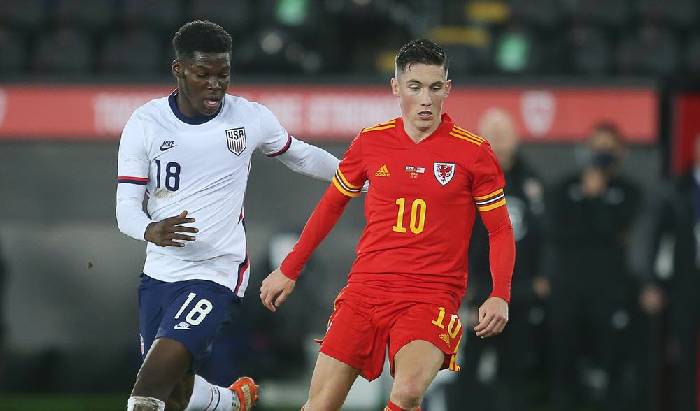 Nhận định, soi k&egrave;o Mỹ vs Xứ Wales, 2h ng&agrave;y 22/11, World Cup 2022