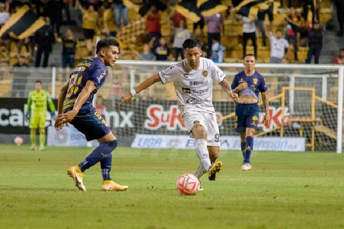 Nhận định, soi kèo CSyD Dorados de Sinaloa với Leones Negros, 10h05 ngày 21/03: Chưa thể phá dớp