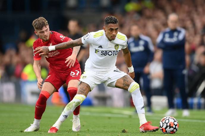 Nhận định soi kèo Brentford vs Leeds, 22h ngày 22/5