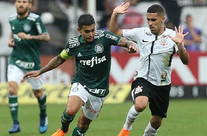 Soi k&egrave;o t&agrave;i xỉu America Mineiro vs Palmeiras h&ocirc;m nay, 6h ng&agrave;y 22/7