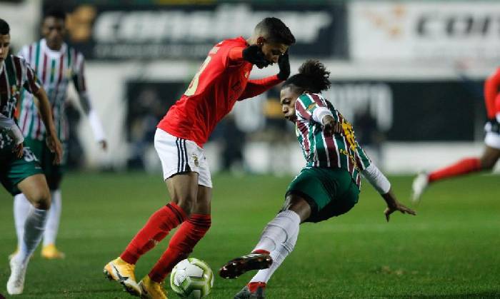 Nhận định, soi kèo Estrela vs Benfica, 2h ngày 21/11