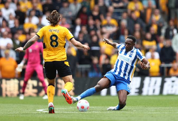 Nhận định, soi k&egrave;o Brighton vs Wolves, 2h45 ng&agrave;y 23/1