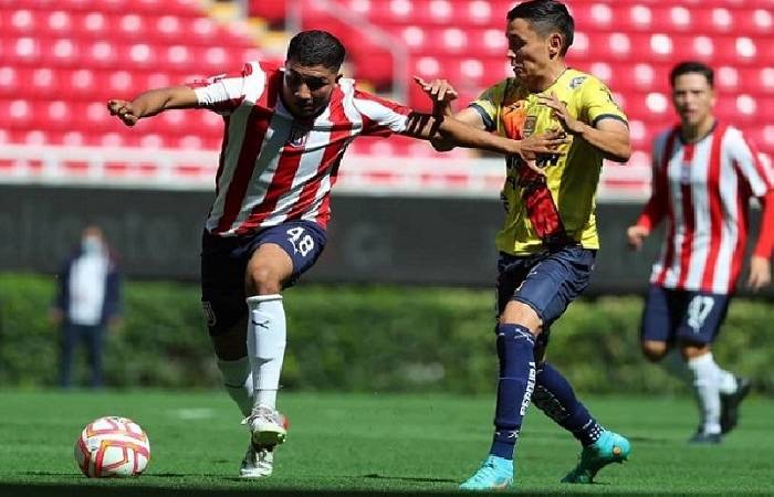 Nhận định, soi kèo Leones Negros với Chivas Tapatio, 8h05 ngày 23/2: Chủ nhà quá ổn