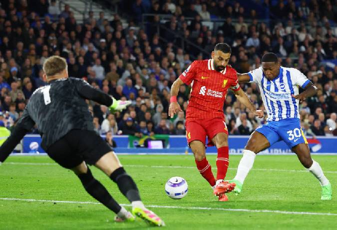 Chuyên gia Tony Ansell dự đoán Brighton vs Liverpool, 19h30 ngày 21/3