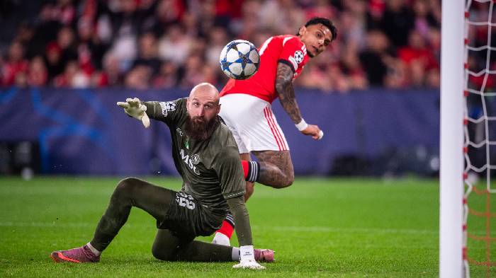 Nhận định, soi k&egrave;o Tondela vs Casa Pia, 1h00 ng&agrave;y 22/12: Chung kết ngược