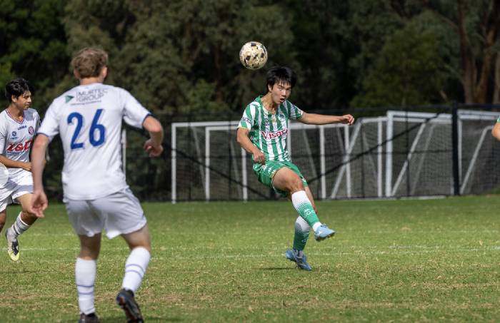 Nhận định, soi k&egrave;o Green Gully SC vs Preston Lions, 16h30 ng&agrave;y 24/4: Chưa thấy niềm vui