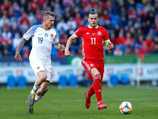 Tiên tri mèo Cass dự đoán Wales vs Đan Mạch, 23h ngày 26/6