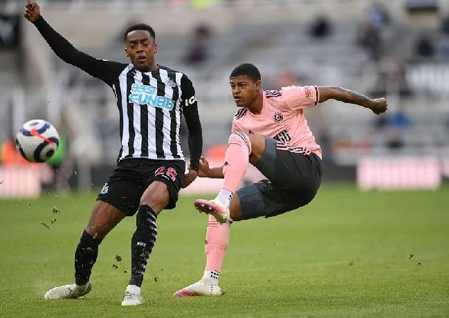Soi kèo phạt góc Sheffield United vs Newcastle, 22h30 ngày 24/9	