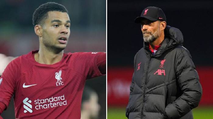 Tin Liverpool sáng 24/3: Gakpo báo hung tin; Chính thức hỏi mua Bellingham