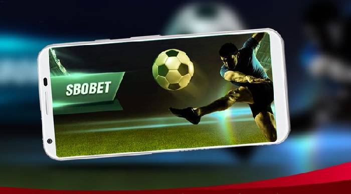 Sbobet đăng nhập như thế nào nhanh gọn nhất dành cho cược thủ