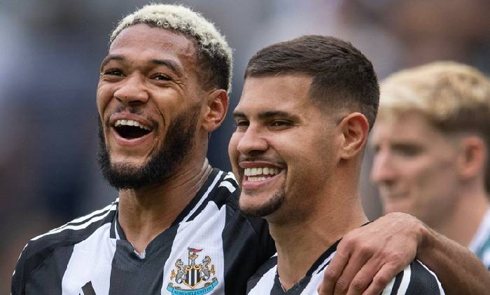 Si&ecirc;u m&aacute;y t&iacute;nh dự đo&aacute;n Bournemouth vs Newcastle, 20h00 ng&agrave;y 25/8
