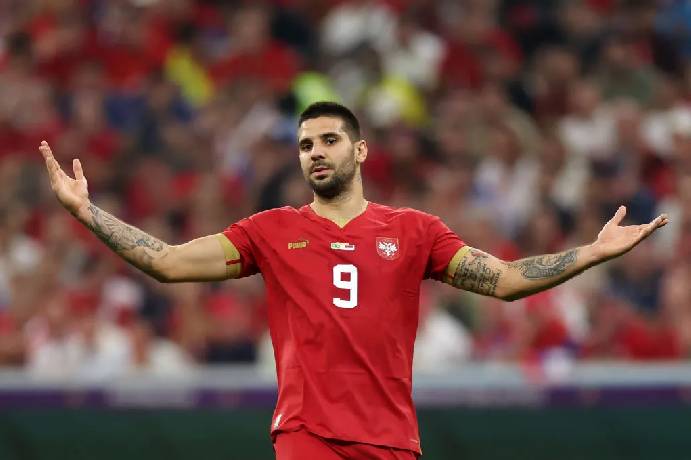 Soi k&egrave;o chẵn/ lẻ Cameroon vs Serbia, 17h ng&agrave;y 28/11