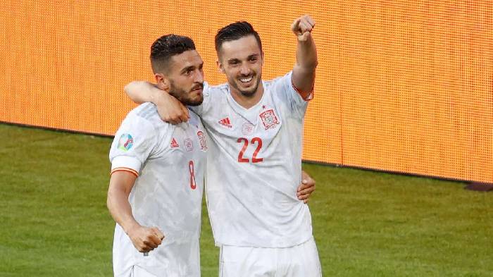 Tiên tri mèo Cass dự đoán Croatia vs Tây Ban Nha, 23h ngày 28/6