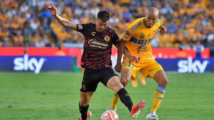 Nhận định, soi k&egrave;o Club Tijuana vs Tigres UANL, 12h00 ng&agrave;y 27/11: Tin v&agrave;o kh&aacute;ch