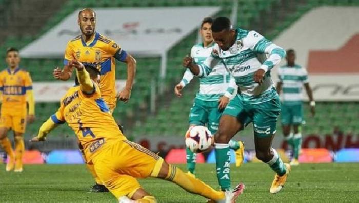 Nhận định, soi kèo Tigres UANL vs Santos Laguna, 6h ngày 28/12