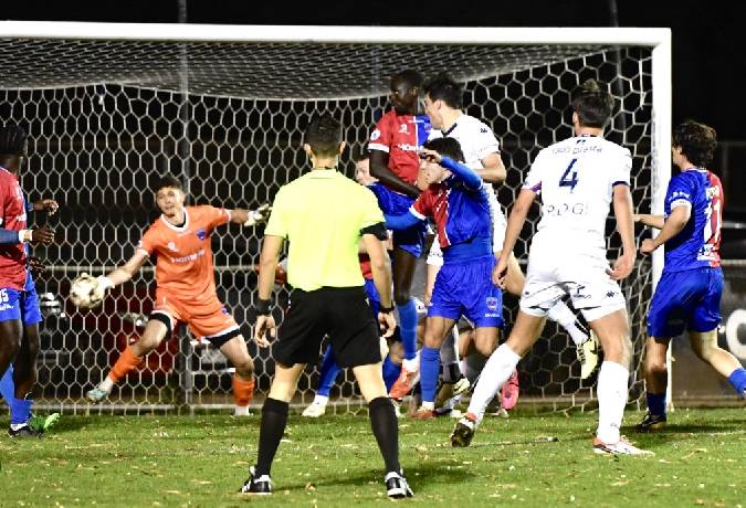 Nhận định, soi k&egrave;o Port Melbourne Sharks vs Preston Lions, 16h15 ng&agrave;y 28/3: Viết lại lịch sử