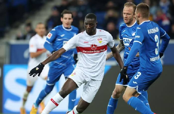 Nhận định, soi k&egrave;o VfB Stuttgart vs Hoffenheim, 20h30 ng&agrave;y 27/5