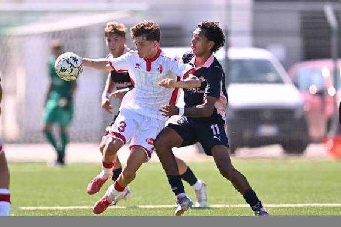 Nhận định, soi kèo Pisa vs Palermo, 1h00 ngày 29/10: Rút ngắn khoảng cách