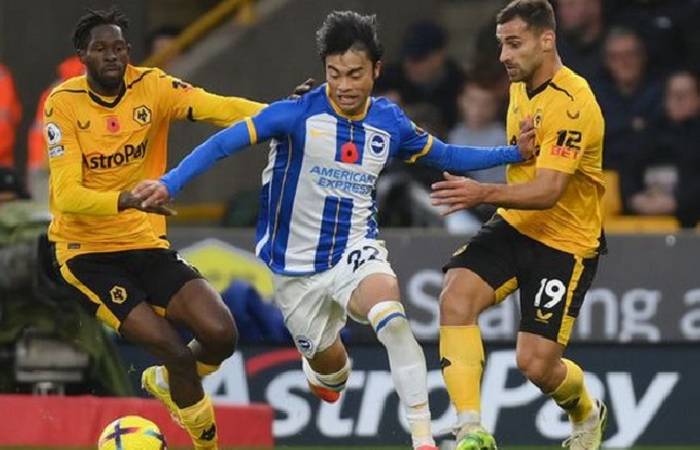 Nhận định, soi kèo Brighton vs Wolves, 21h00 ngày 29/4