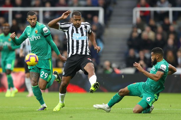 Nhận định bóng đá Newcastle vs Watford, 21h00 ngày 31/08: Cất cao tiếng hót