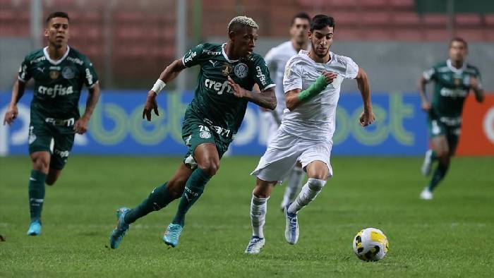 Nhận định, soi kèo Palmeiras vs America MG, 7h30 ngày 30/11