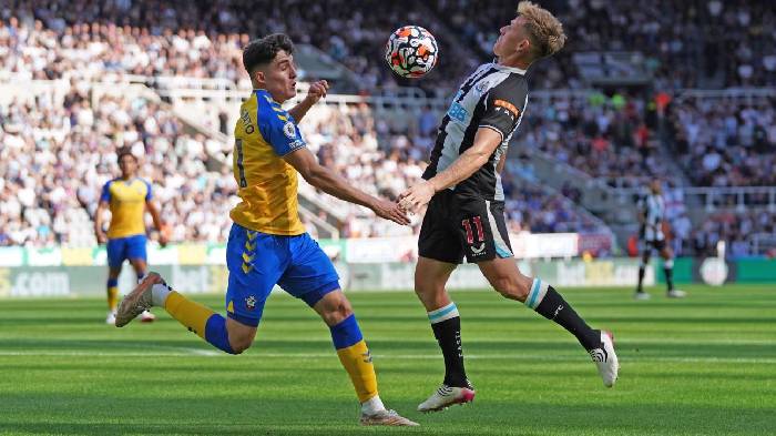 Soi kèo chẵn/ lẻ Newcastle vs Southampton, 3h ngày 1/2