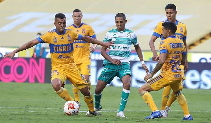 Nhận định, soi kèo Tigres UANL vs Santos Laguna, 10h00 ngày 31/8