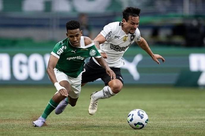 Nhận định, soi kèo Mirassol vs Palmeiras, 4h30 ngày 31/8: Xây chắc ngôi đầu