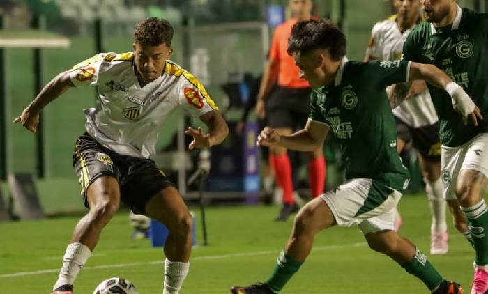 Nhận định, soi kèo Gremio Novorizontino vs Goias, 07h00 ngày 02/10: Trở lại cuộc đua