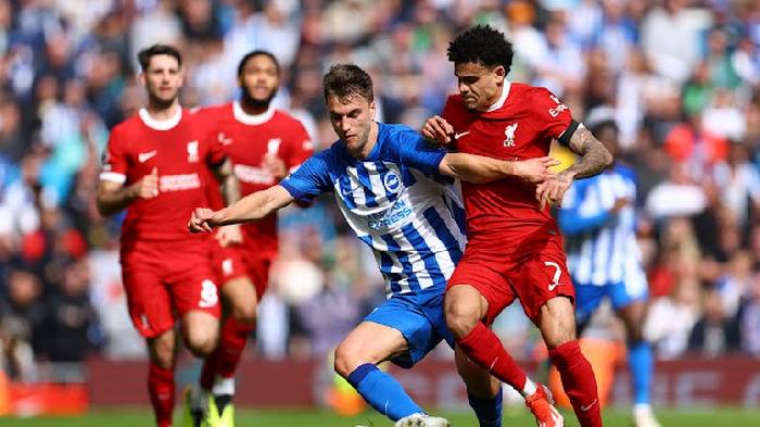 Chuy&ecirc;n gia Tony Ansell dự đo&aacute;n Brighton vs Liverpool, 02h30 ng&agrave;y 31/10