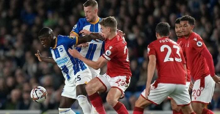Nhận định, soi k&egrave;o Nottingham vs Brighton, 19h30 ng&agrave;y 1/2: M&ograve;ng biển g&atilde;y c&aacute;nh