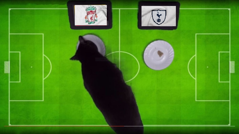 Tiên tri Cass dự đoán Liverpool vs Tottenham, 2h ngày 2/6