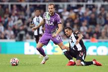 Dự đo&aacute;n, soi k&egrave;o thẻ v&agrave;ng Tottenham vs Newcastle, 22h30 ng&agrave;y 3/4