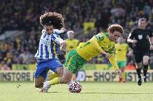 Nhận định, soi k&egrave;o Brighton vs Norwich, 21h00 ng&agrave;y 02/04
