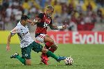 Nhận định Flamengo vs Boavista, 7h30 ng&agrave;y 2/7