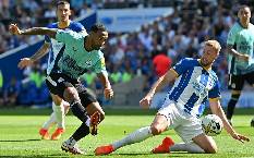 Nhận định, soi k&egrave;o Brighton vs Newcastle, 23h30 ng&agrave;y 2/9
