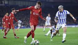 Nhận định, soi k&egrave;o Liverpool vs Brighton, 22h00 ng&agrave;y 2/11: Tiếp tục khắc chế
