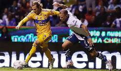 Nhận định, soi k&egrave;o Tigres UANL vs Puebla, 9h10 ng&agrave;y 4/12