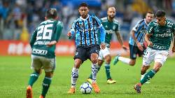 Nhận định, soi k&egrave;o Gremio vs Palmeiras, 5h00 ng&agrave;y 5/7: Kh&oacute; l&ecirc;n đầu bảng