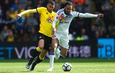 Nhận định, soi k&egrave;o Sunderland vs Watford, 1h45 n g&agrave;y 5/10