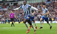 Nhận định, soi k&egrave;o Brighton vs Newcastle, 0h30 ng&agrave;y 7/11