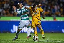 Nhận định, soi kèo Tigres UANL vs Santos Laguna, 8h00 ngày 7/2: Vùi dập