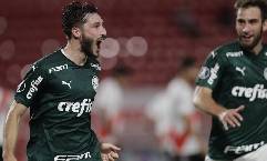 Sport Recife vs Palmeiras, 5h ngày 10/1: Đối thủ kỵ giơ